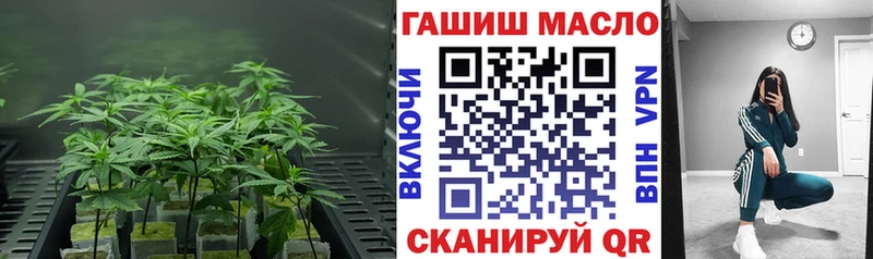 купить закладку Шахунья Дистиллят ТГК THC oil