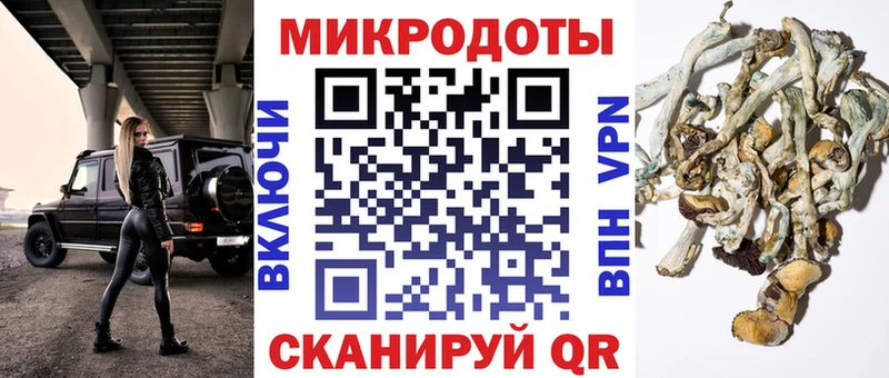 Галлюциногенные грибы GOLDEN TEACHER  Шахунья 
